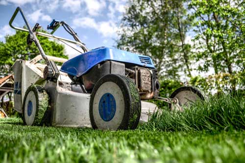 Lawn Care Tools that You Need to Know About