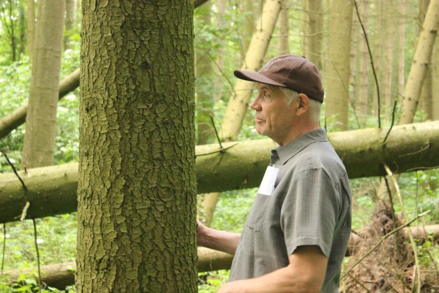 A forest conservation technician in a forest denoting how to be a forest conservation technician